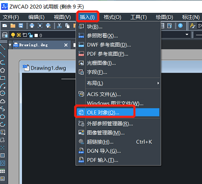 CAD里插入的圖片不見了？